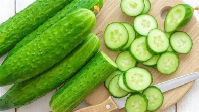 مواعيد زراعة الخيار في مصر