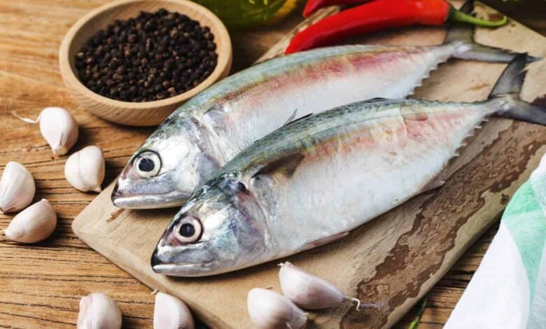 أفضل أنواع السمك في الإسكندرية