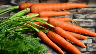 زراعة الجزر في الأواني