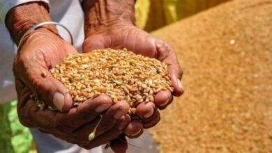 سعر أردب القمح 2026