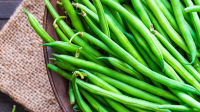 الفرق بين اللوبيا والفاصوليا