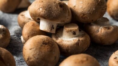 طريقة زراعة المشروم في المنزل