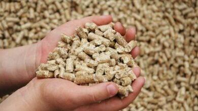 سعر طن علف الدواجن اليوم