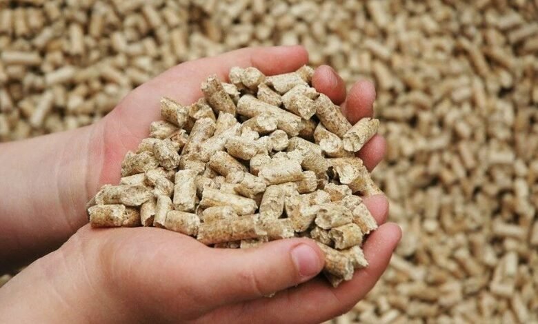 سعر طن علف الدواجن اليوم