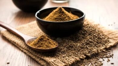 سعر طن الكمون 2026